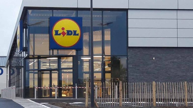 Cohue chez Lidl avec sa friteuse à air chaud 9 en 1 parfait pour cuisiner tous vos plats préférés comme un véritable chef !